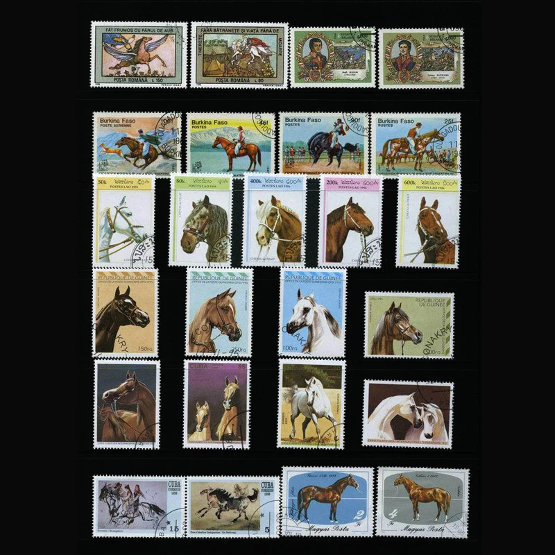 Collectible Vintage Postage Stamps - Znaczki Pocztowe 50 Różnych Końków Znaczki