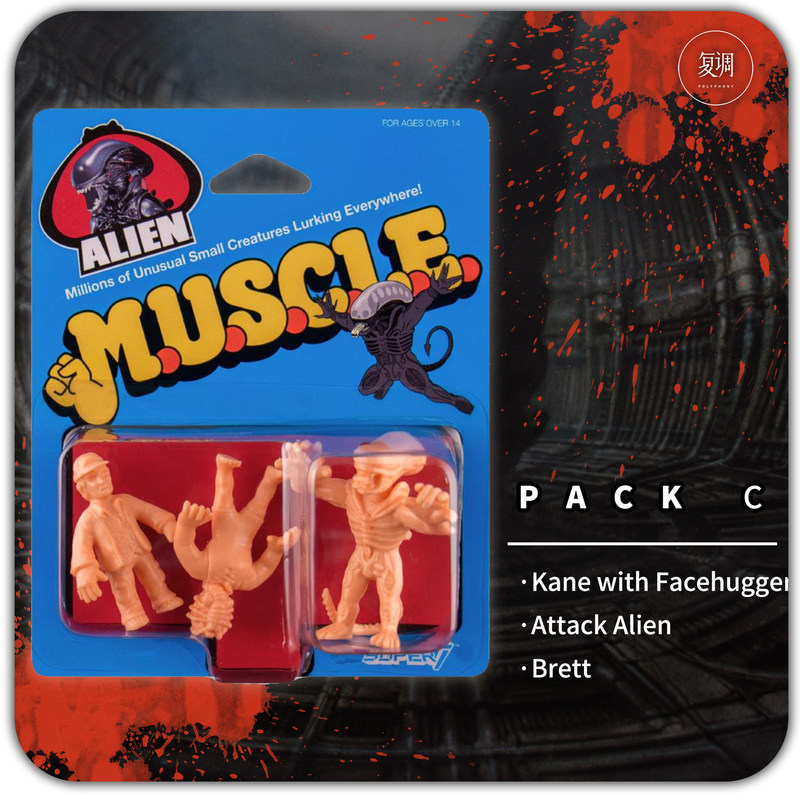Polyphony Super7 Muscle Dostęp – Vintage Toys Collector recenzja i cena